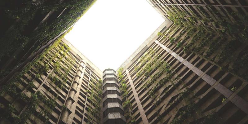 陕西油泼面:从扯面技法到油温掌控,解锁三秦大地的面食灵魂