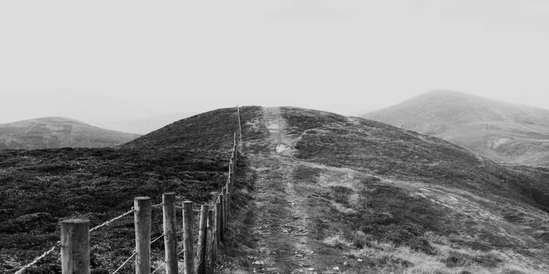 顺德鱼生：薄如蝉翼的极致鲜甜，在家也能做的岭南至味与安全指南